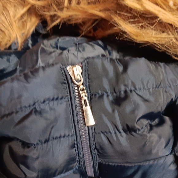 J2 Navy Puffer Coat - Picture 4 of 8